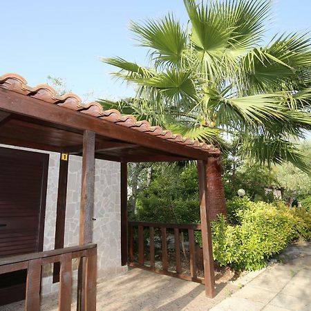 Agriturismo Da Mauro Vieste Dış mekan fotoğraf